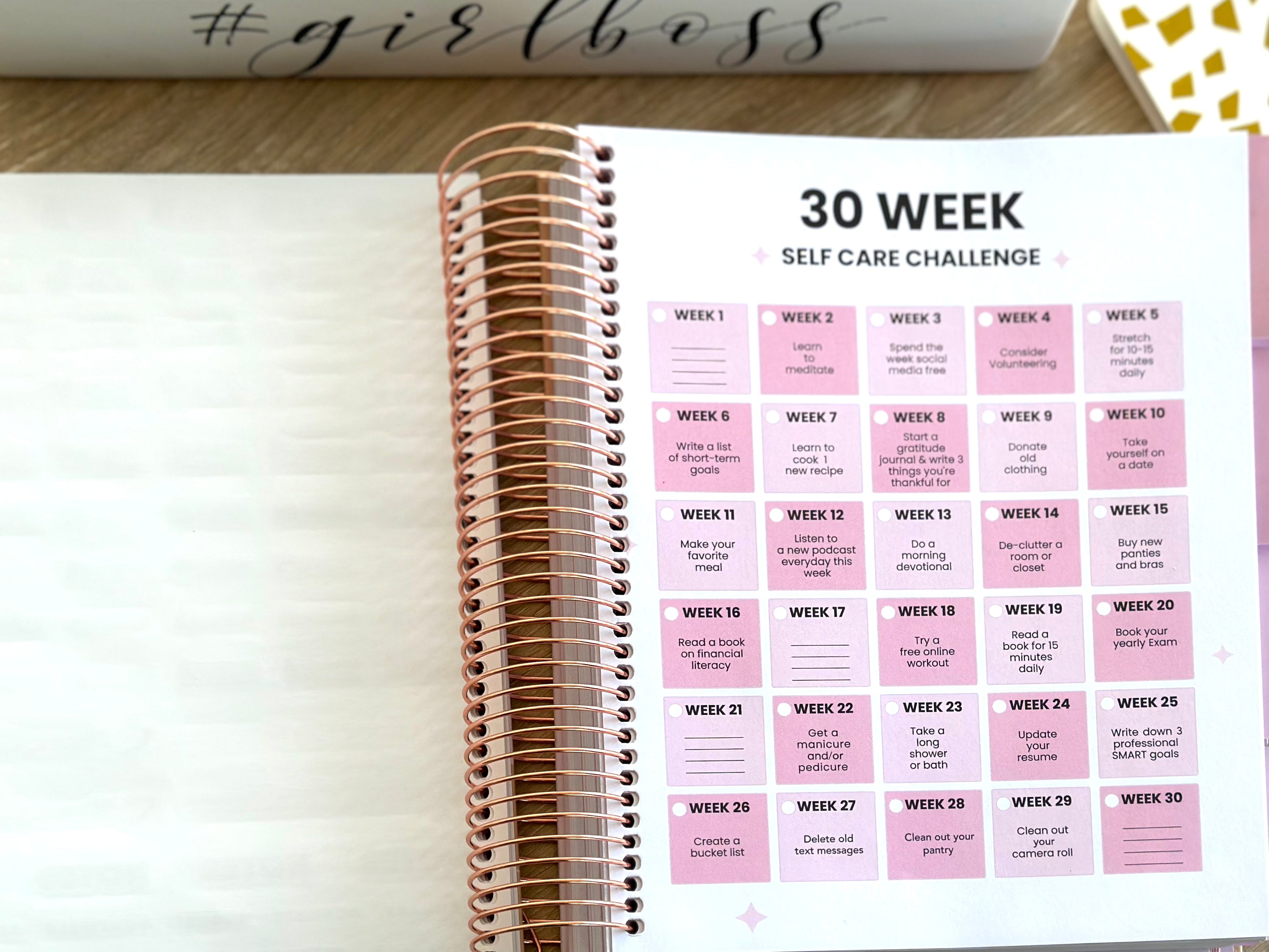 The Corporate Girl Planner, 6 month, Undated, Pink, Rosegold, 260 pages