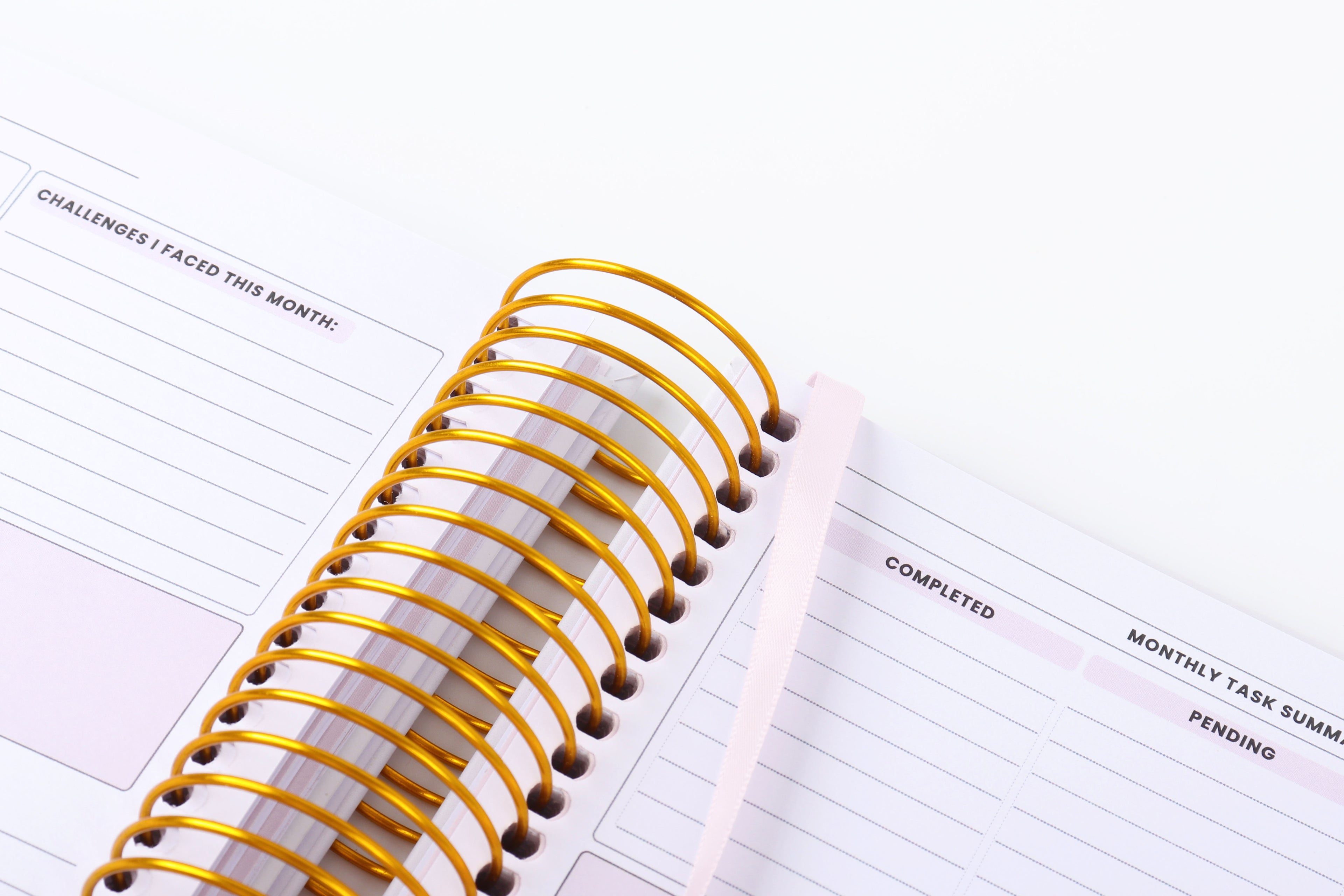 Corporate Girl Planner - 12 Month, Weekly Planner