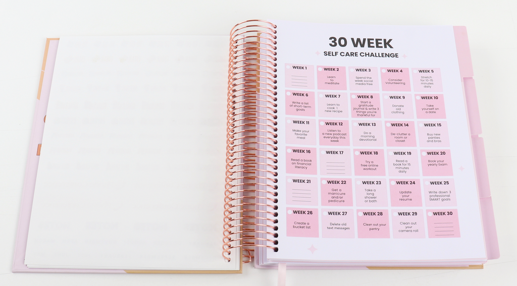 The Corporate Girl Planner, 6 month, Undated, Pink, Rosegold, 260 pages